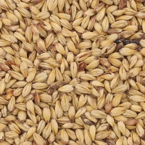 Briess Briess Caramel Malt (Crystal) 60L 10 lb