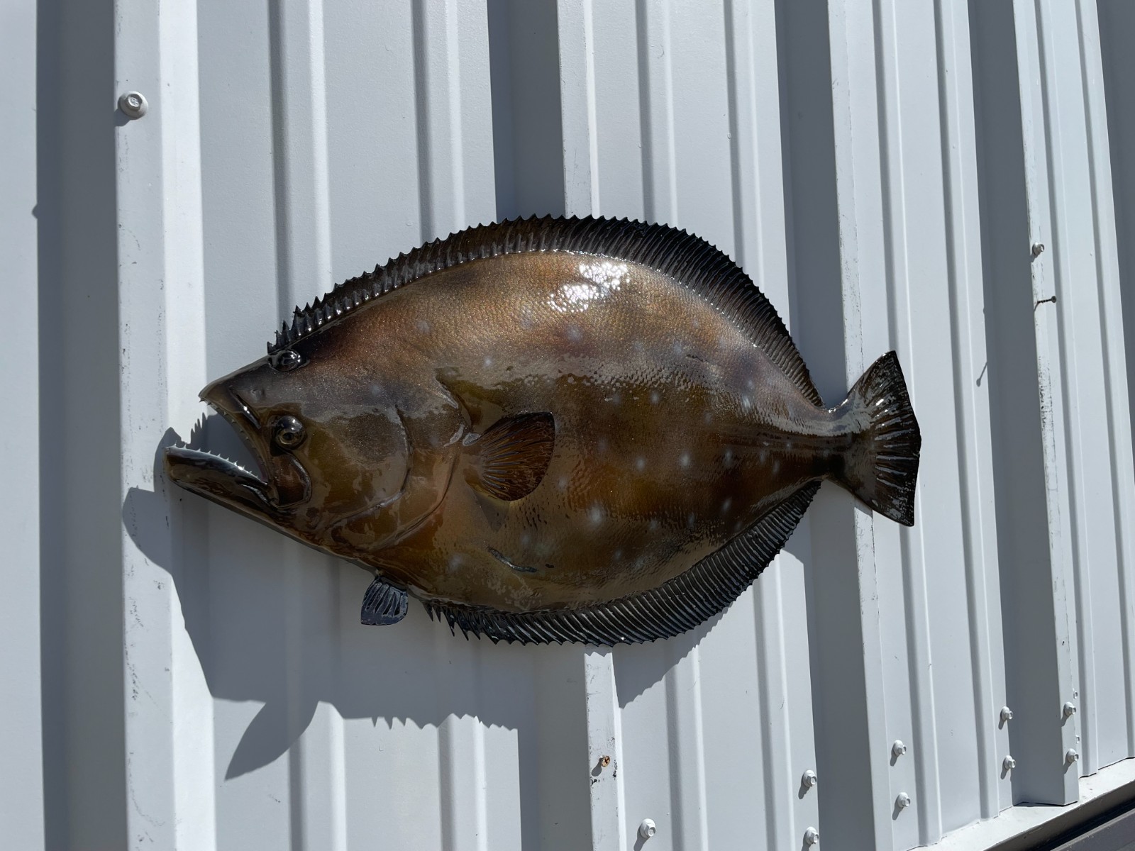 27" Flounder Half Mount Fish Replica - Quick Production