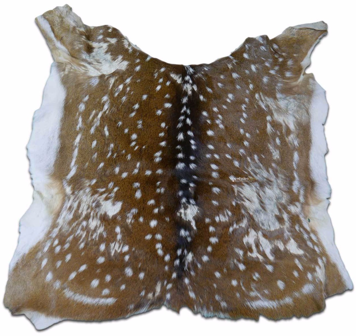 Axis Deer Skin Second Grade -Axis Deer Hide Size: 38"X30" Cheetal deer buck hide