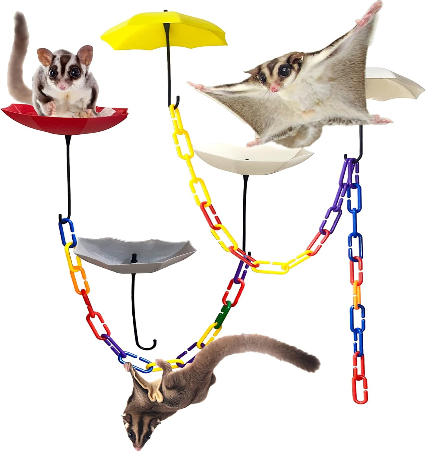 6Pack Sugar gliders platform,140pcs C-Clips climbing chain for sugar gliders，bir