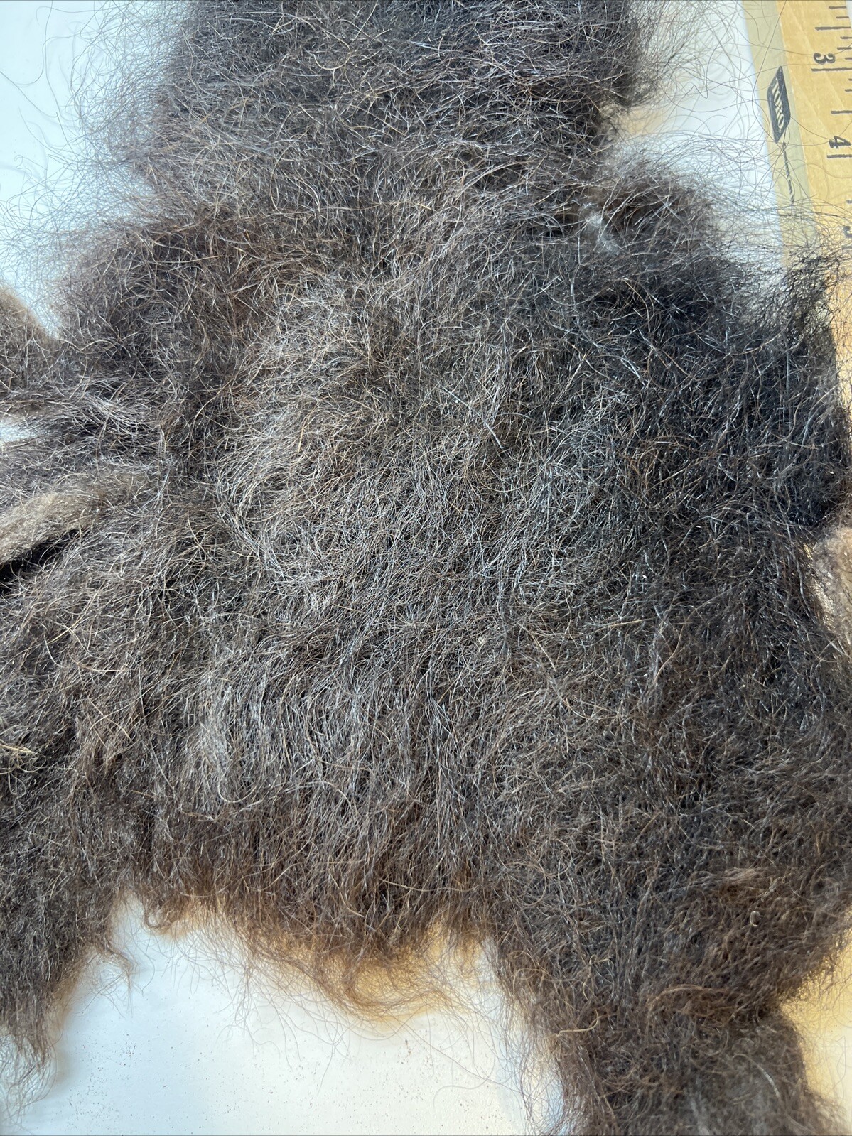 American Bison Buffalo Wool Section 1.6 Ounce
