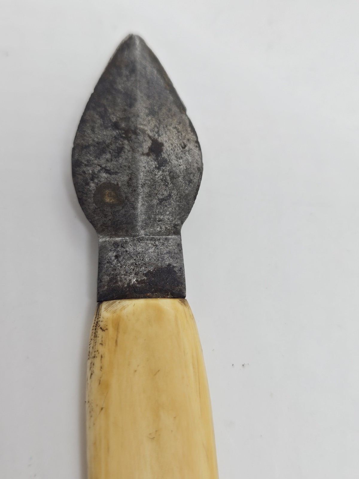 Antique 1800's Single Blade Bloodletting Quack Medical Scalpel Fleam Bone Handle