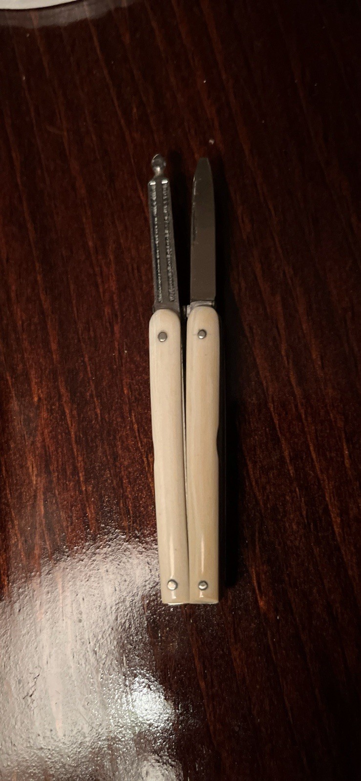 E. ZINN Germany Small Multi Tool Pearl Handles Original Packaging Early 1900’s