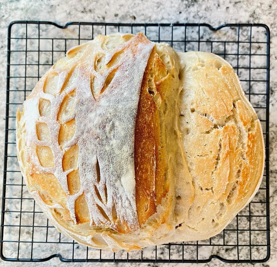 1000 year old ITALY Sourdough Starter - Camaldoli Monastery | Organic Dehydrated