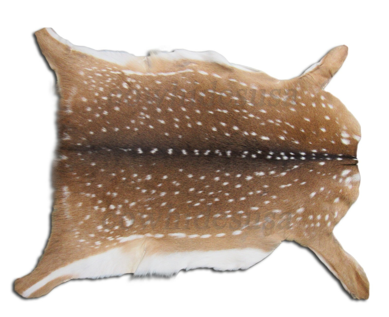 Axis Deer Skin Average Size: 37" X 30" Top Grade Chital Deer Hide