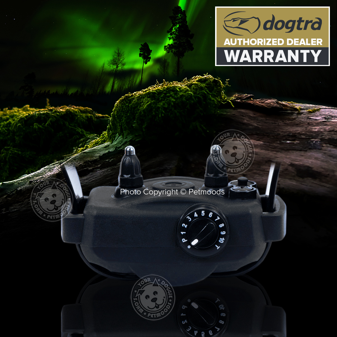 DOGTRA YS600 No Bark Stubborn Dog Collar Barking Control
