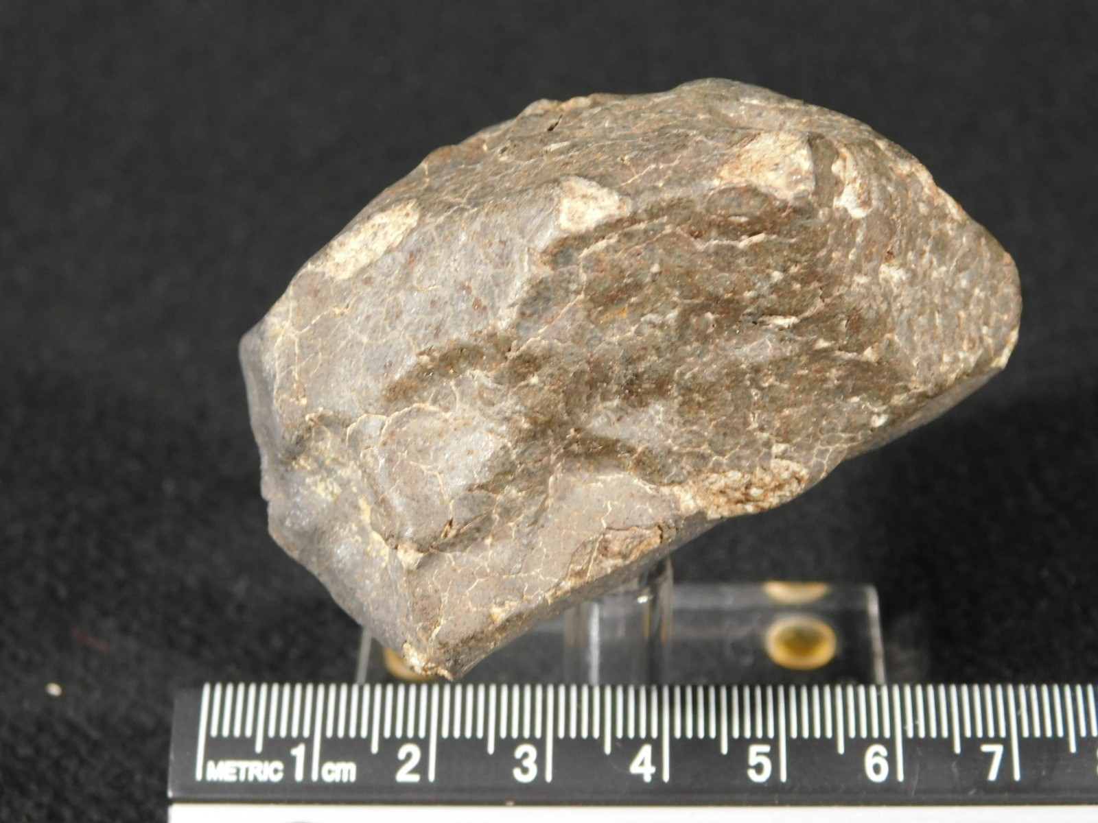 H6 Stony METEORITE Regmaglypts DARK Fusion Crust and Contraction CRACKS! 178gr