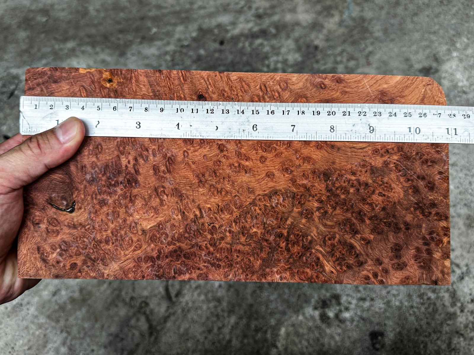 RARE!! Amboyna Burl ,Exotic Wood, Lumber, Knife Timber Handle Lumber #2895
