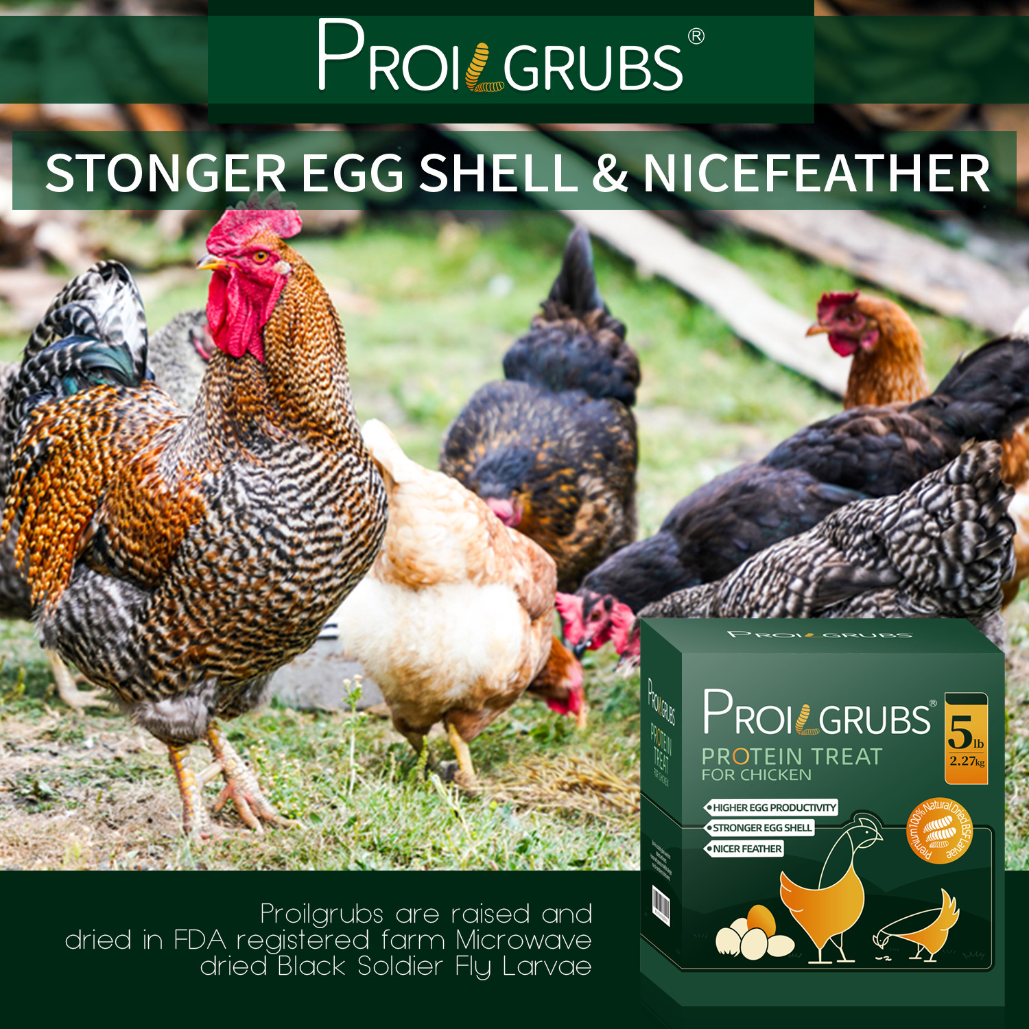 PROILGRUBS 10 LBS Non-GMO Dried Black Soldier Fly Larvae for Chickens,Birds