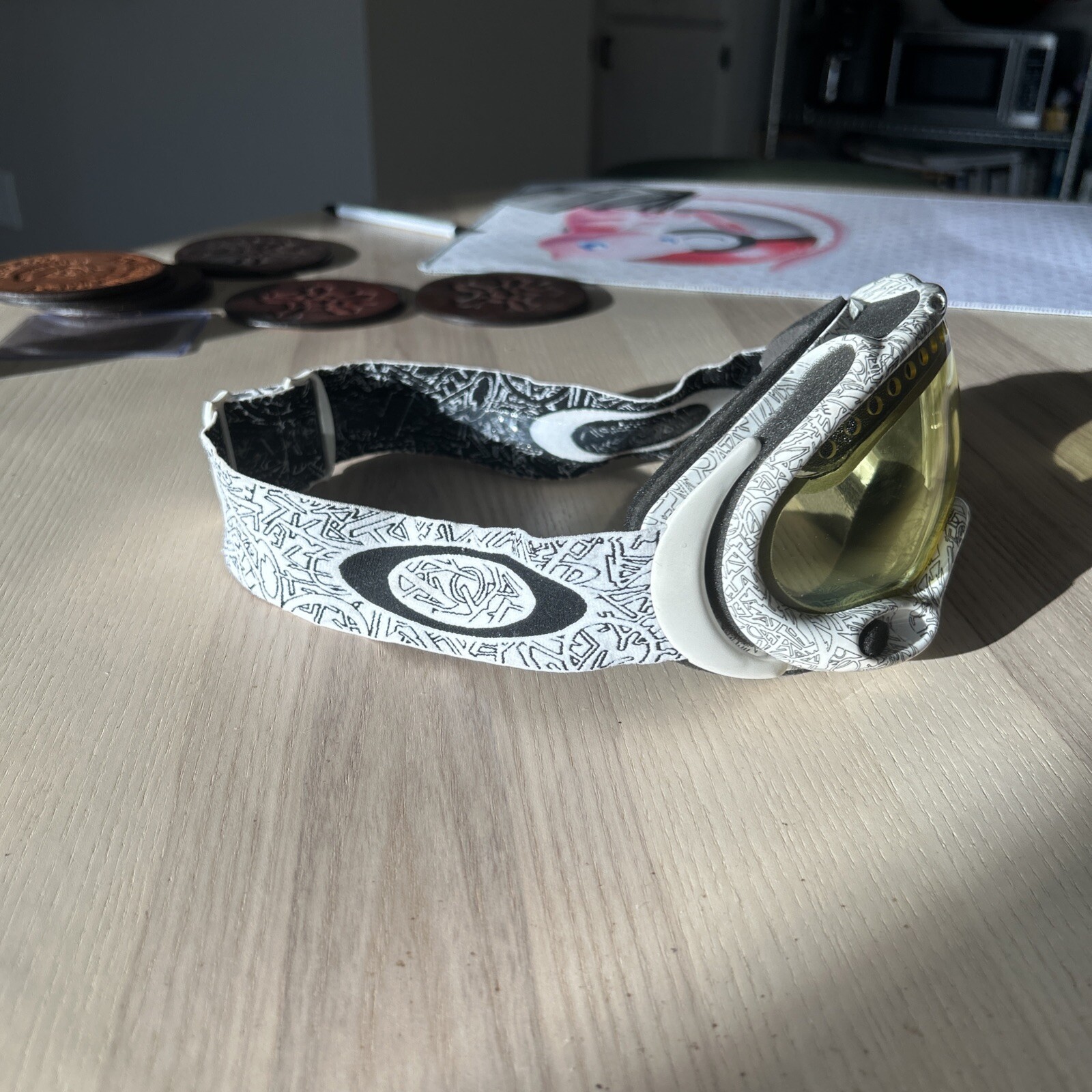 Oakley Crowbar Ski And Snowboard Goggles.