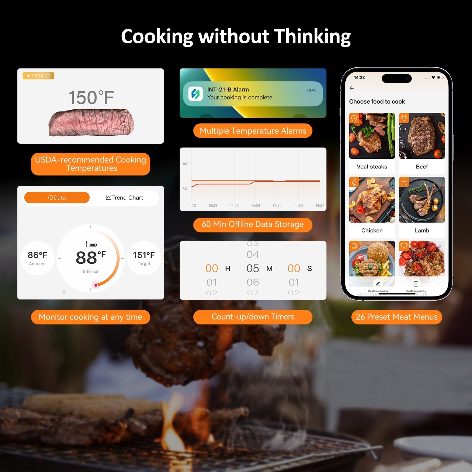 Inkbird Wireless Cooking Meat Thermometer 60min Data Storage 25min Rechargeable