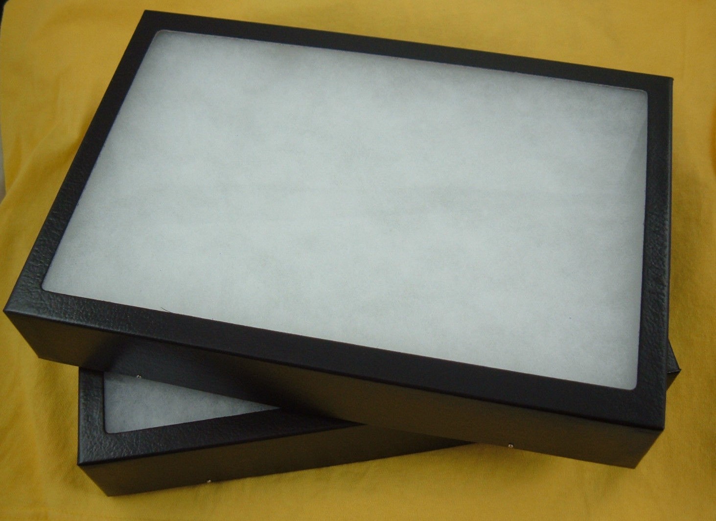 Five, Riker Mount Style 12X 16 X 2 Inch display collectors frame