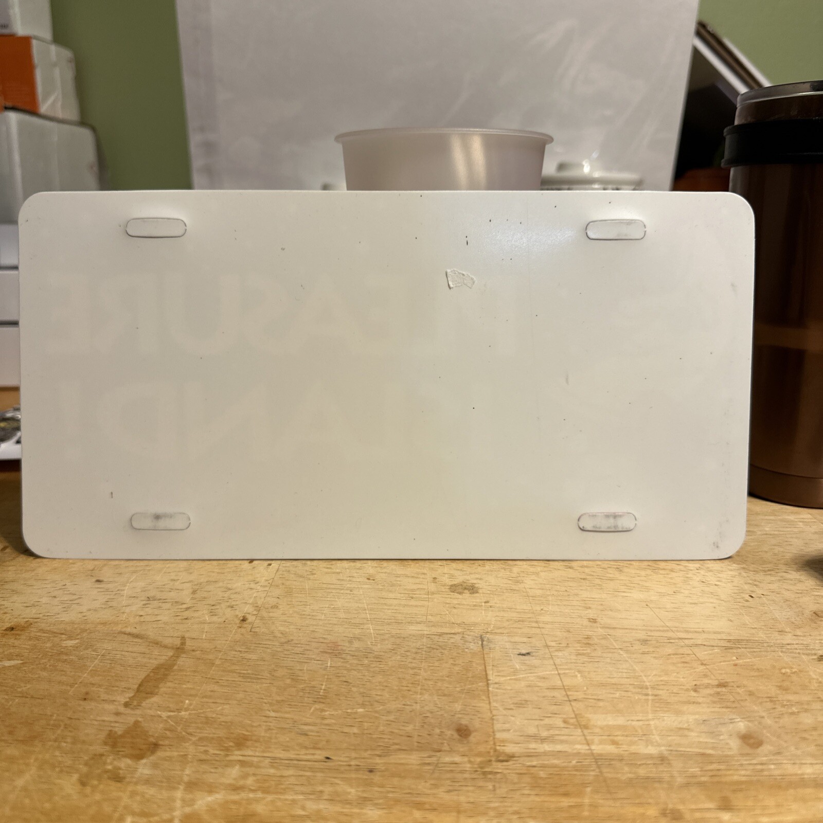 Pleasure Island Walt Disney World Vintage 90s License Plate Plastic Sign