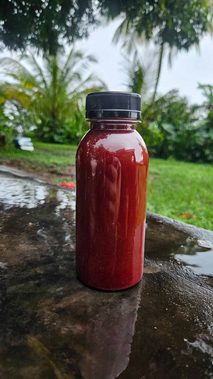 8 ounce photosynthetic bacteria, Helps plants uptake nutrients. Use as a starter