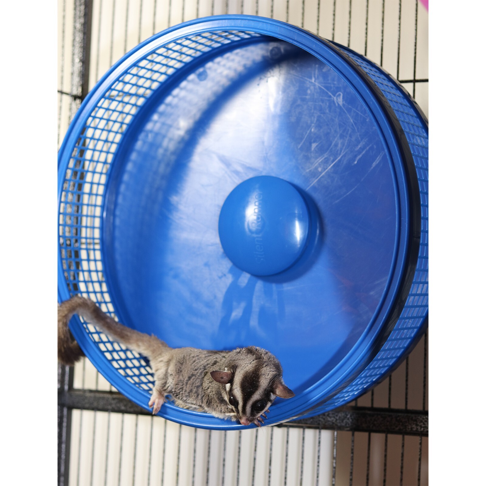 Silent Runner Pro Blue - Durable Pet Exercise Wheel with Cage Attachment