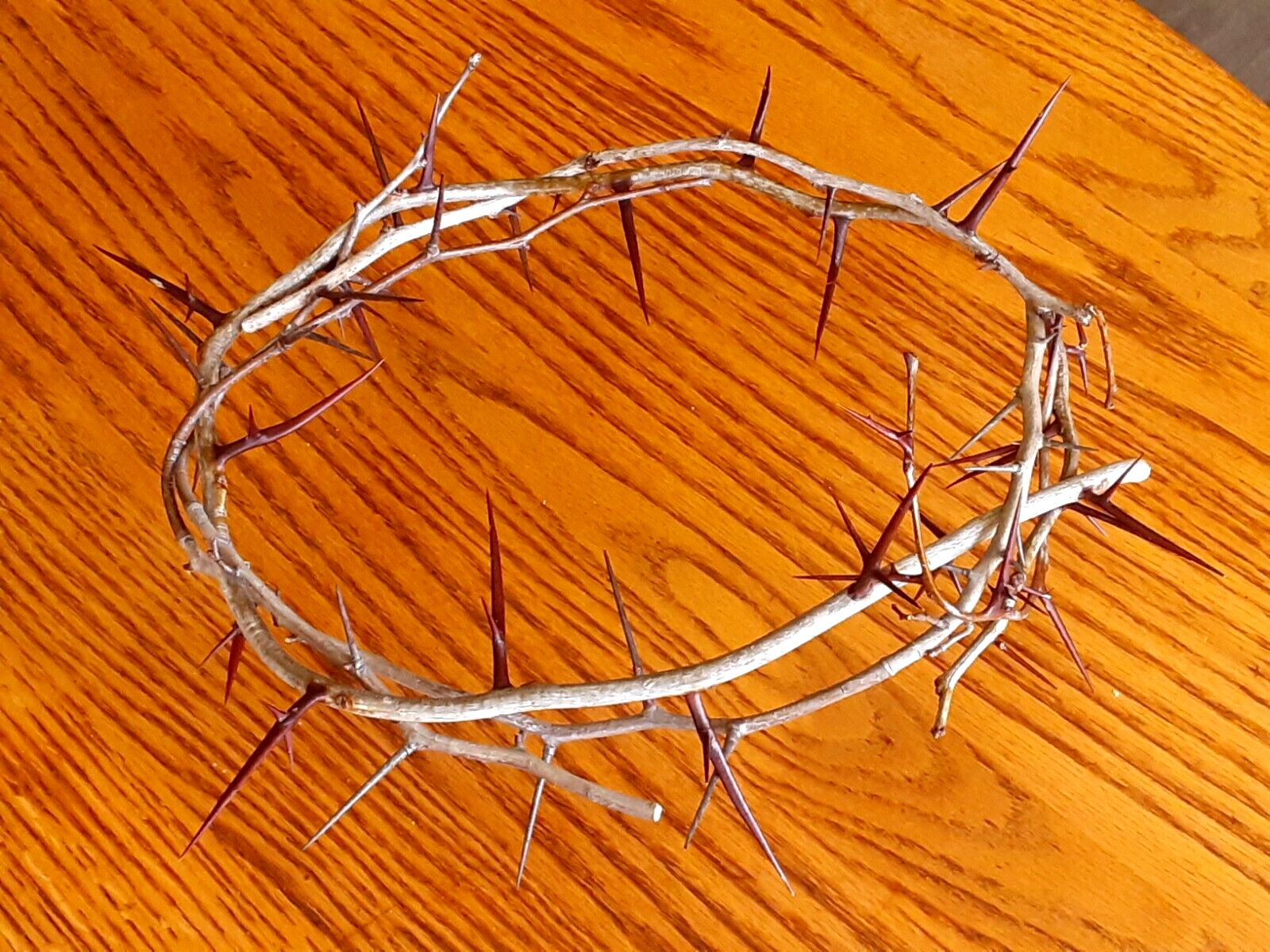 REAL Handmade Jesus Crown of Thorns - Lent, Good Friday, Passiontide, Easter
