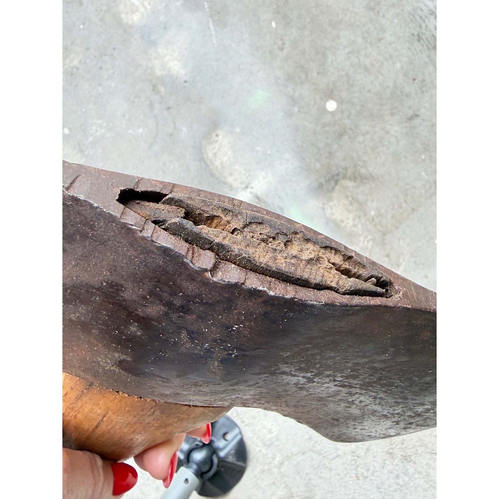 Vintage Double Bit Axe Head on Handle 1940s-60s Logging Tool Needs Re-Wedge