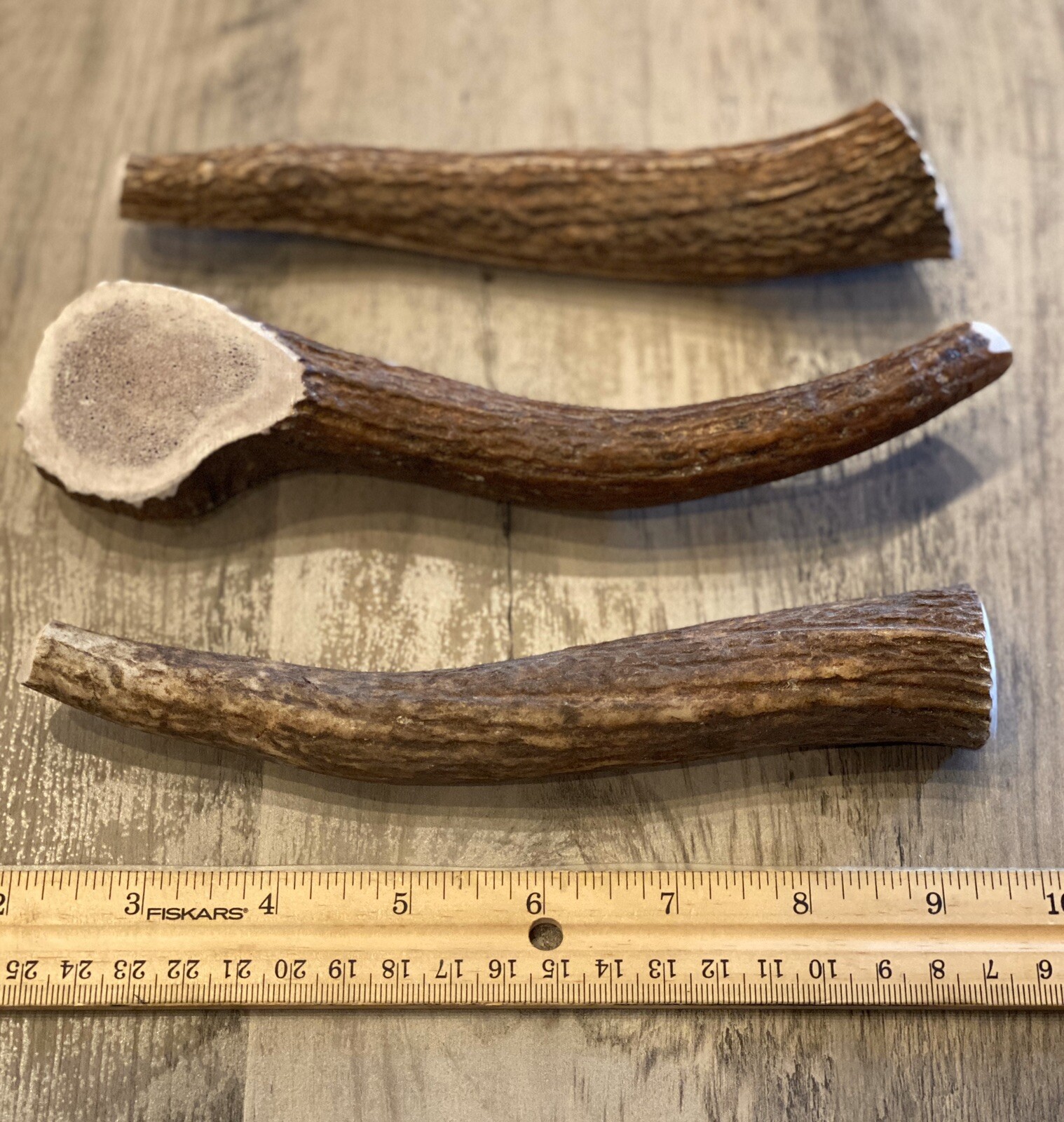 LARGE Elk/Deer Antler Premium Dog Chew (1pc) **OREGON ANTLER WORKS**