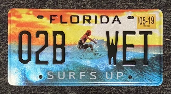 Endless Summer Surfer License Plate Beautiful Alternative