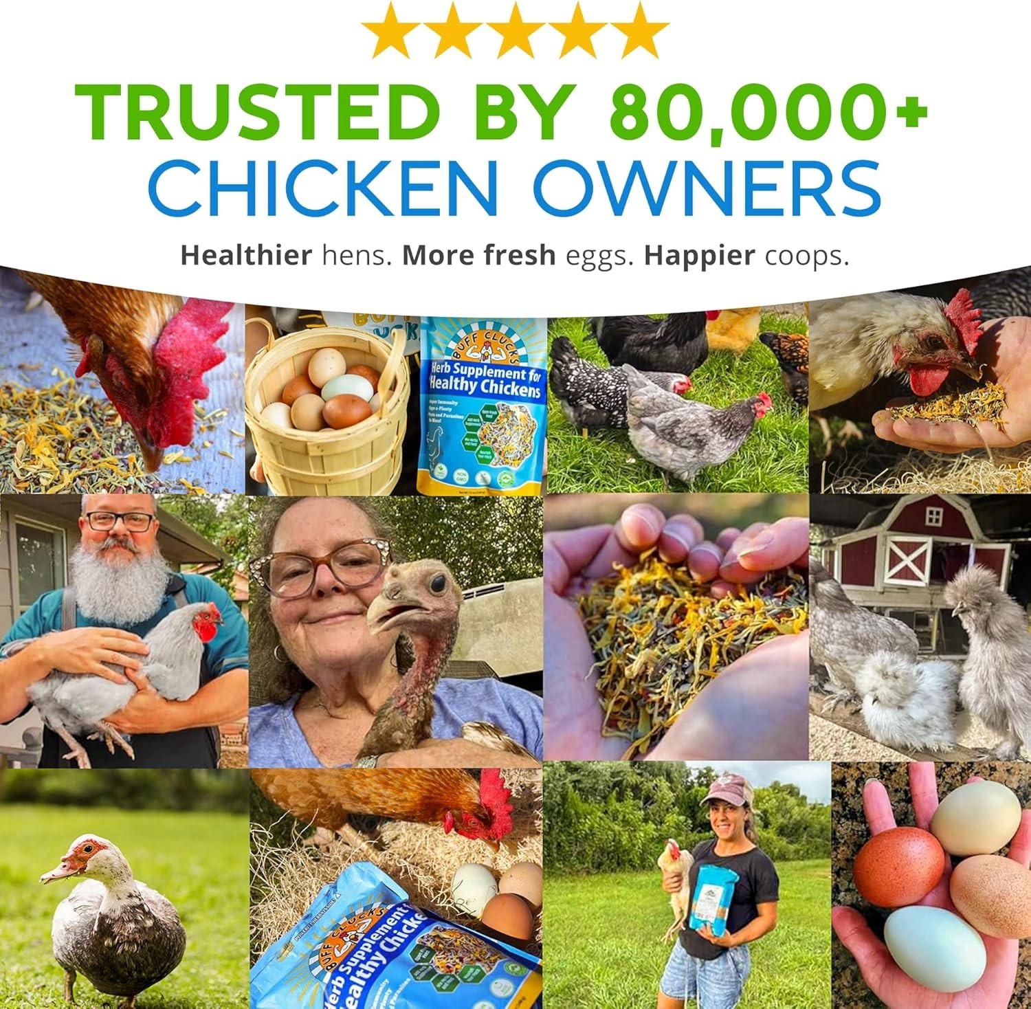 Buff Clucks Herb Supplement for Backyard Chickens for Daily Wellness - USA
