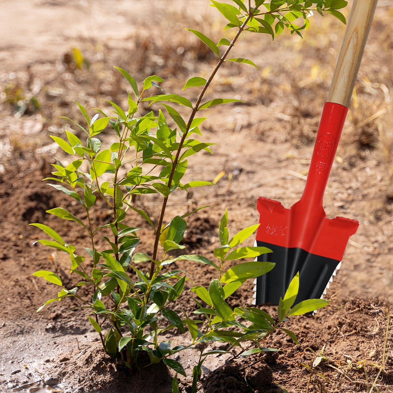 Garden Shovel/Saw Root Assassin Slayer Landscape Tree Planting Root Shovel Garde