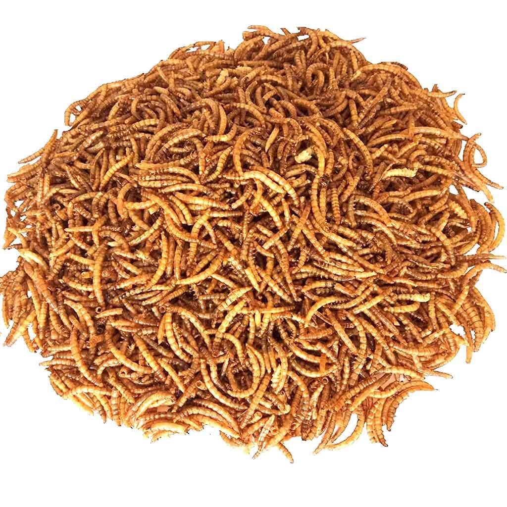 Bulk Dried Mealworms for Wild Birds Food Non-GMO Chickens Hen Fish Treats Food