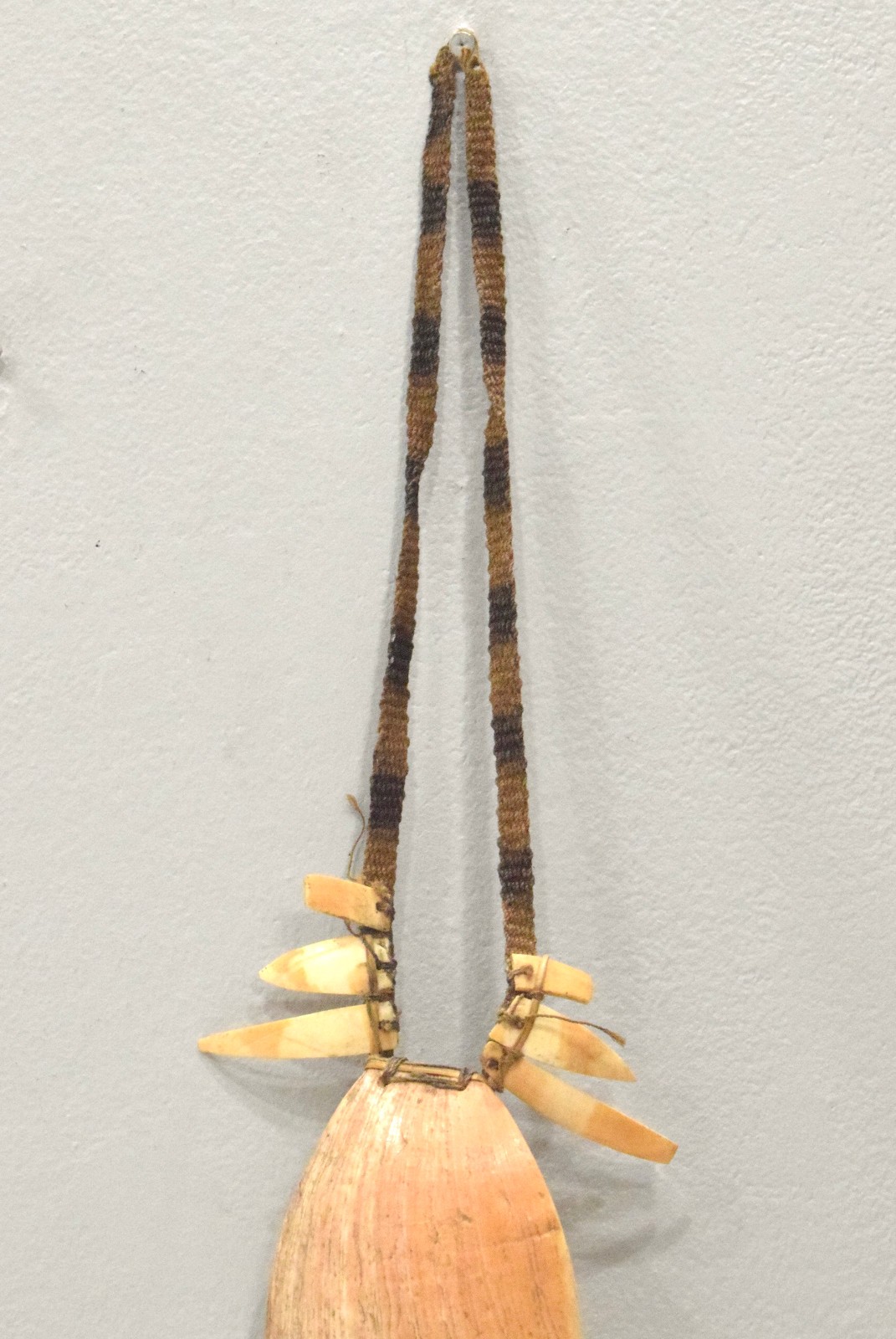 Papua New Guinea Bailer Shell Necklace