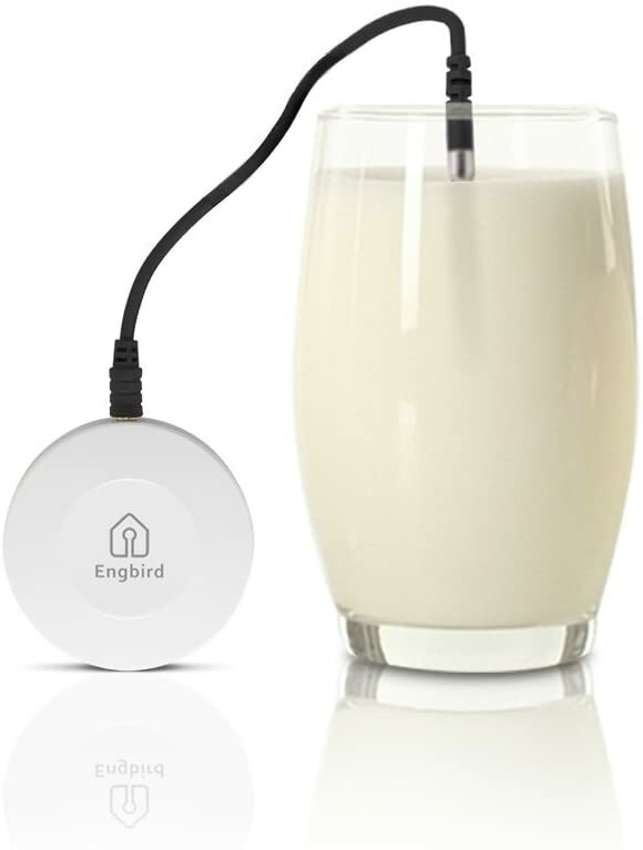 Inkbird IBS-TH1 Thermometer Hygrometer Wireless Temperature Recorder Bluetooth