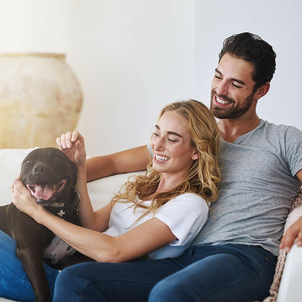 4 Wheels Posh Folding Waterproof Portable Travel Cat Dog Stroller w/ Cup Holder