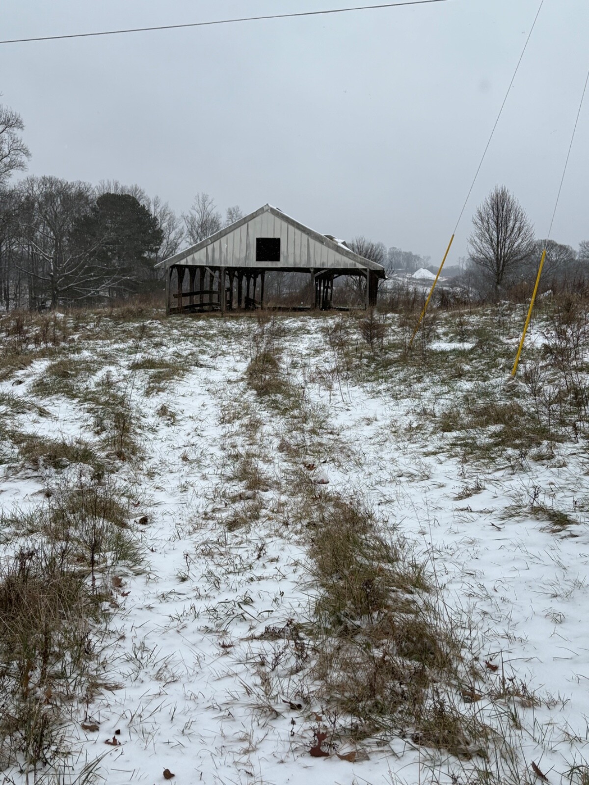 Mystery Farm Treasure – Real Surprise Item From a Small Family Farm!