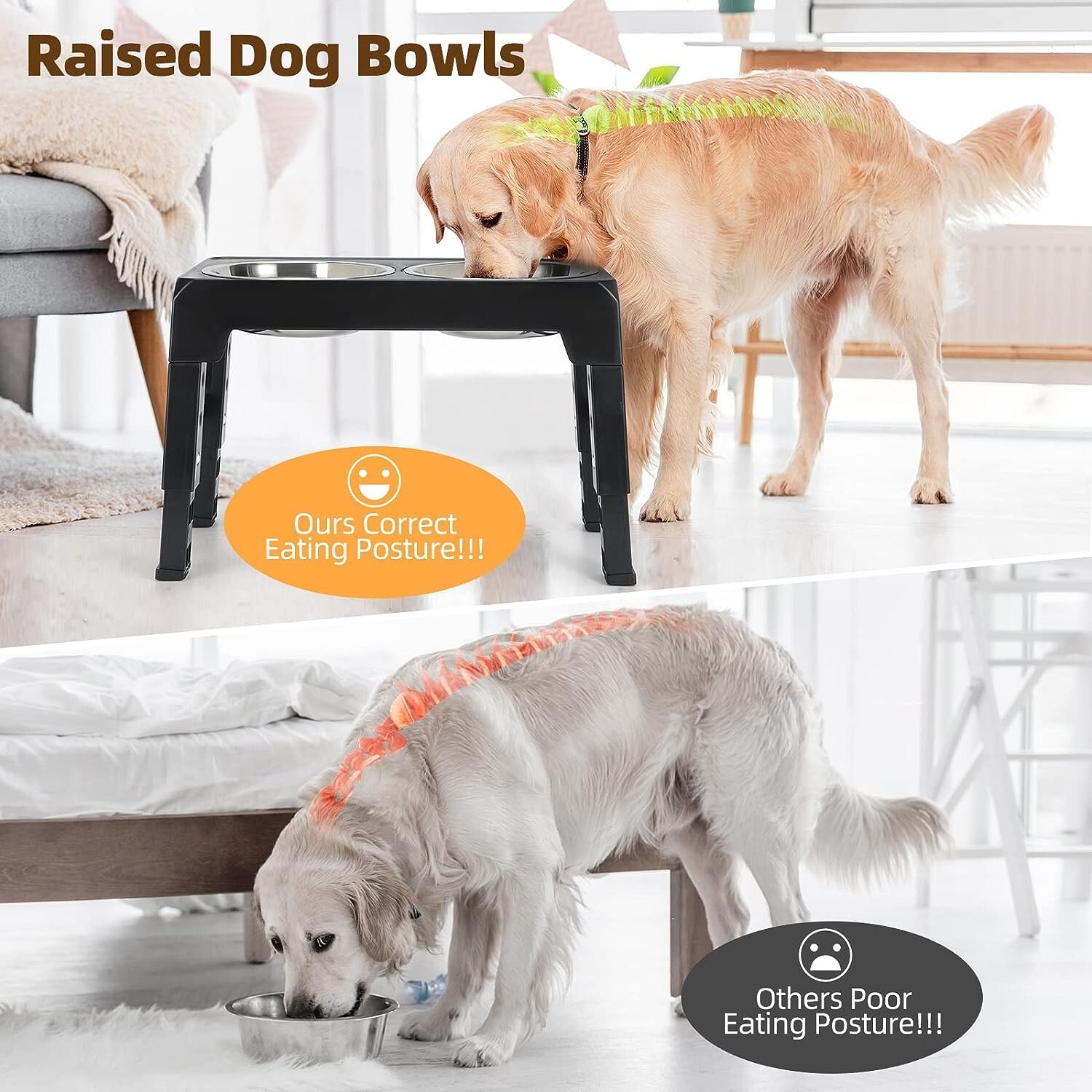 Elevated Dog Bowl Pet Feeder Stainless Steel Raised Food Water Stand w/ 2 Bowls