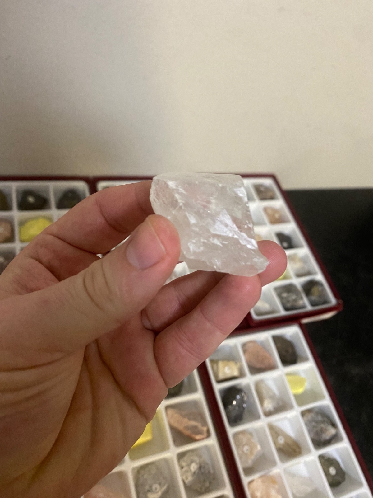 Scott Resources Fossil Rock Mineral Collection for Classroom Geology Educational