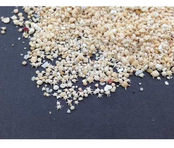 Star Sand Okinawa Ishigaki Island Star Sand 10ml Glass Bottle JAPAN *US Seller