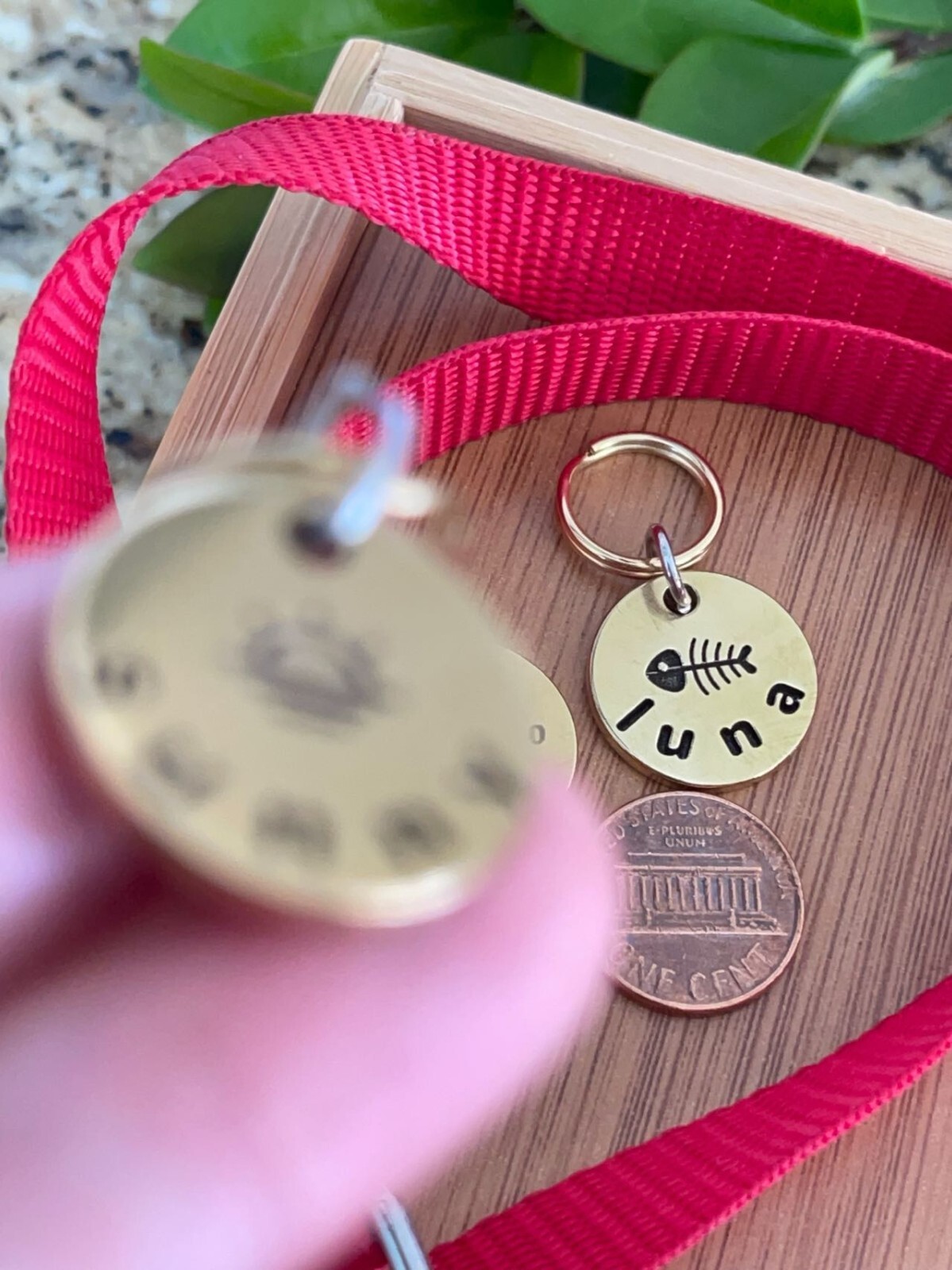 Cat ID Tag, Tiny Pet Tag, Engraved Kitten and Puppy Tag, Personalized Cat Tag