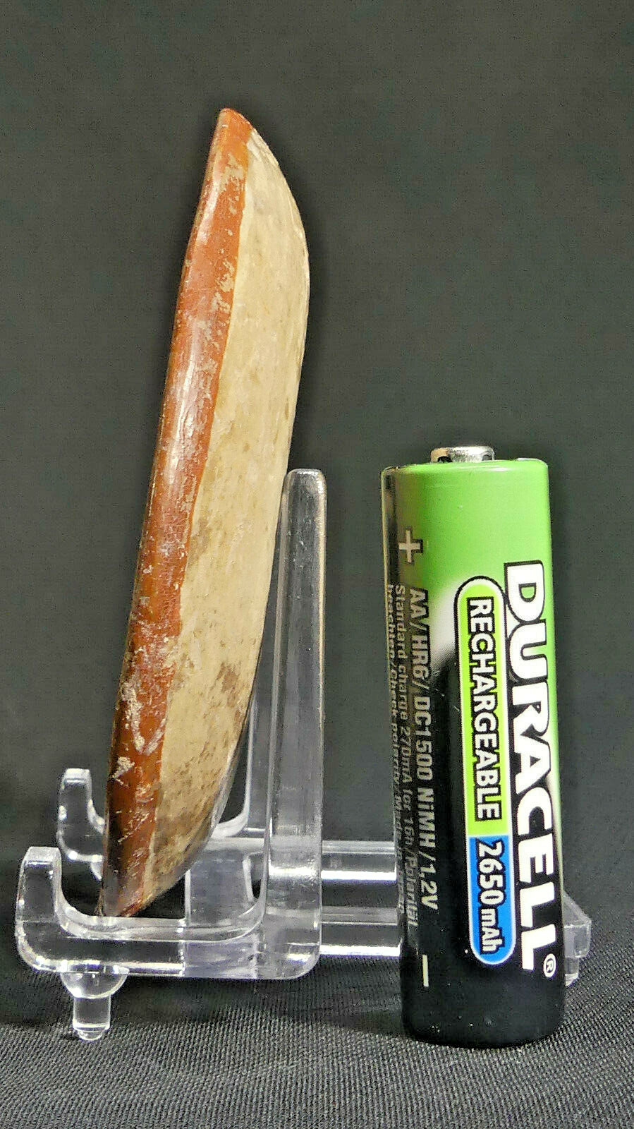 Native American Mississippian Culture Pottery Disk with Painted Glyphs AACA