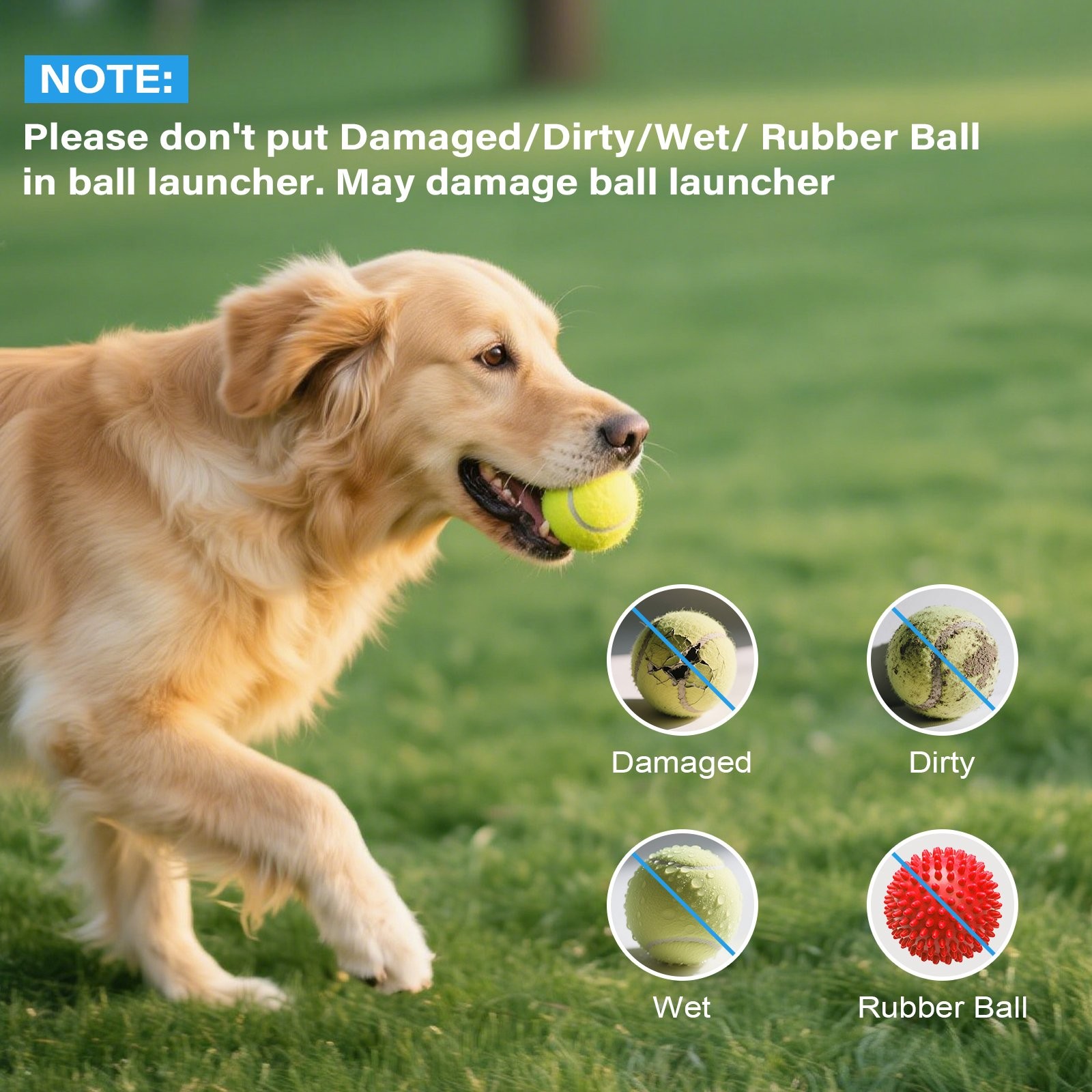 Indoor Auto Ball Thrower 2" Mini Ball 3 Modes Interactive Toy Small Medium Dogs