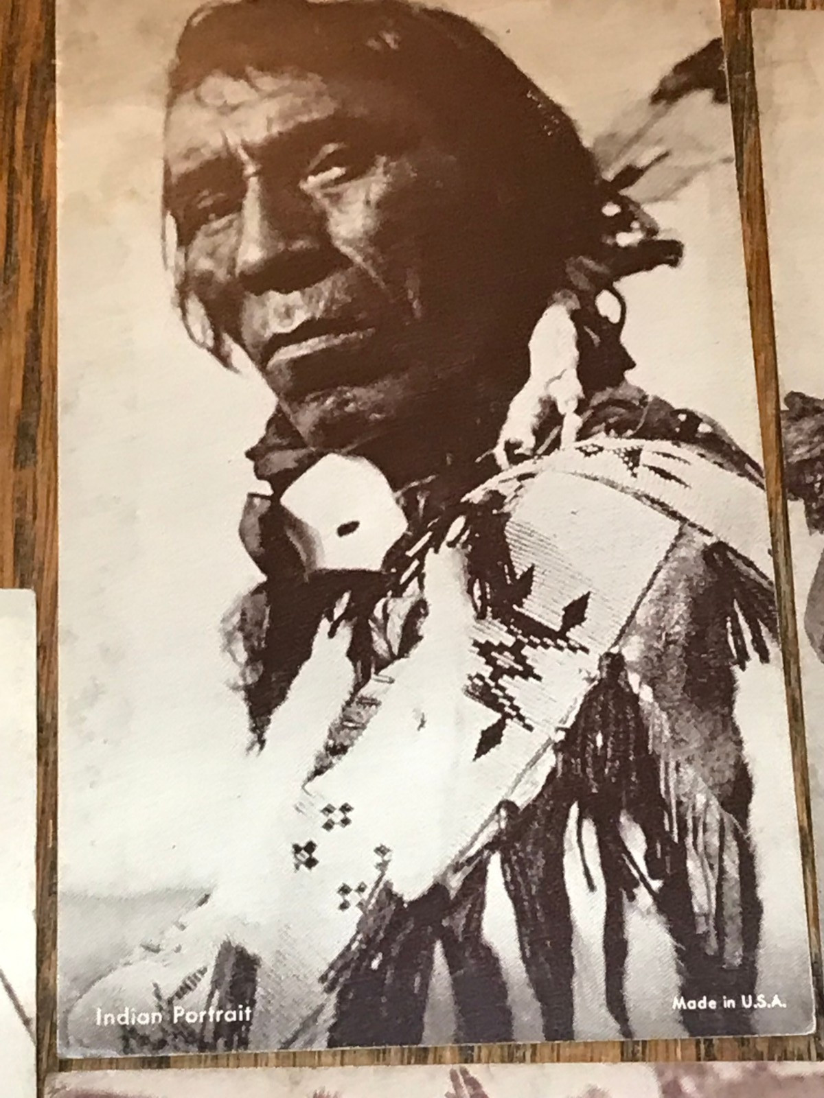 Antique Lot Of 10 Native American Indian Arcade Cards Exhibit Cheyenne Blackfoot