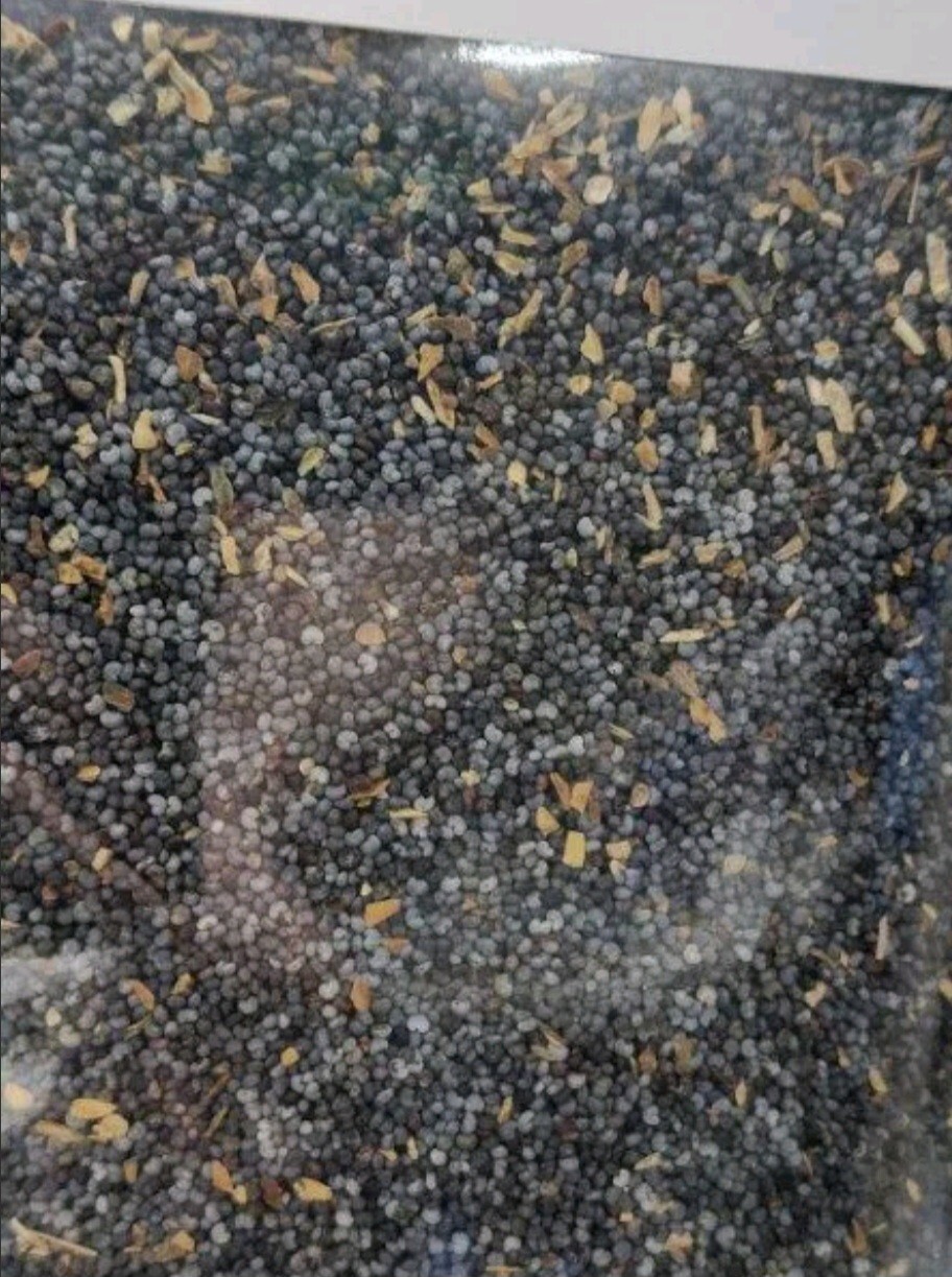 Poppy seeds, UK Reserve Crop 5 Lbs for Baking