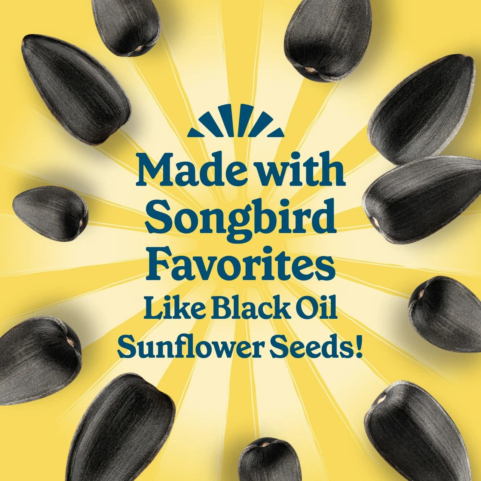 High Energy Suet Cake for Wild Birds Year-Round Feeding 8 Pack of 11.75 oz Cakes