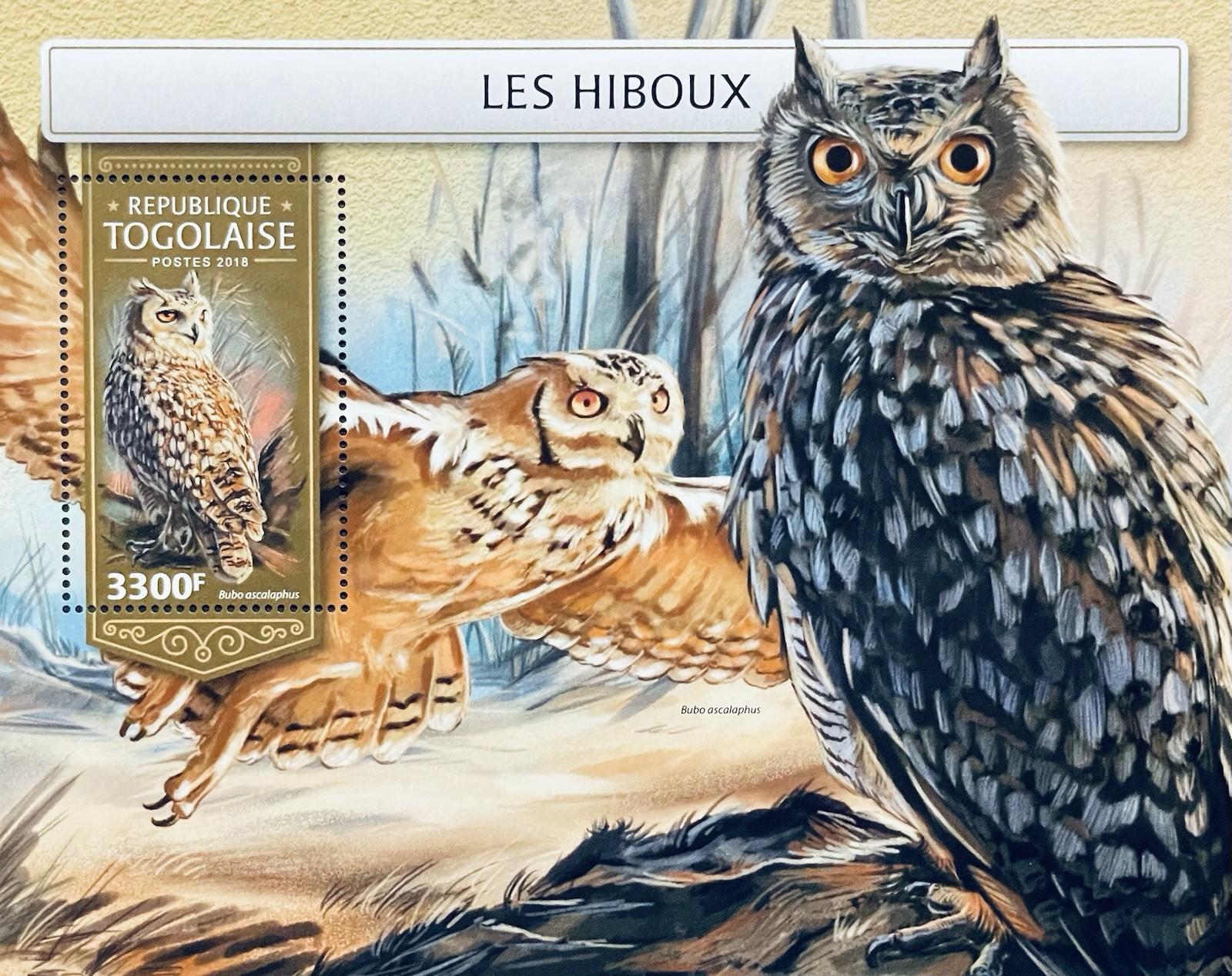 TOGO OWLS STAMPS SHEET SS MNH 2018 PHARAOH EAGLE OWL WILDLIFE BIRDS OF PREY BIRD