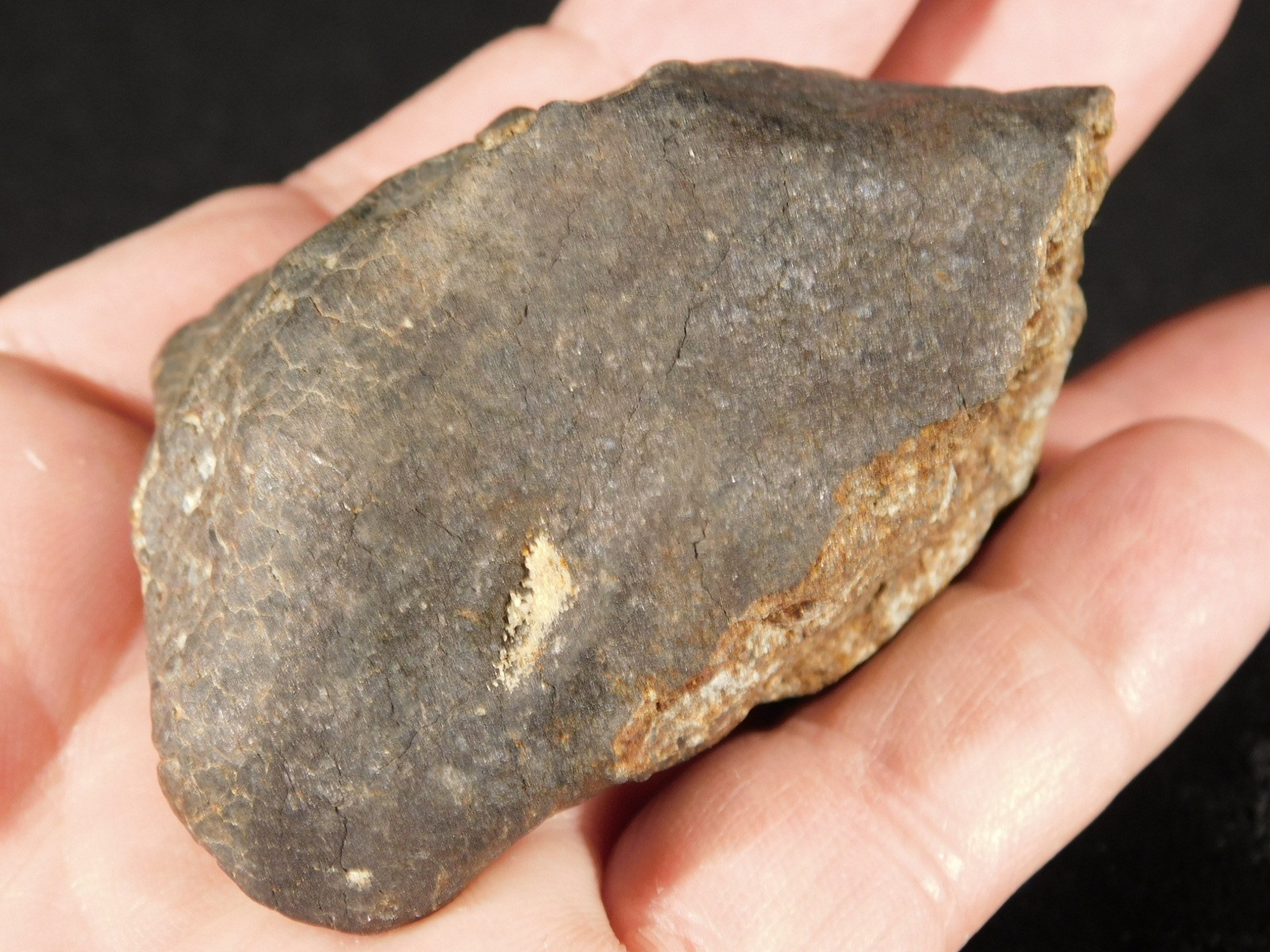 H6 Stony METEORITE Regmaglypts DARK Fusion Crust and Contraction CRACKS! 178gr