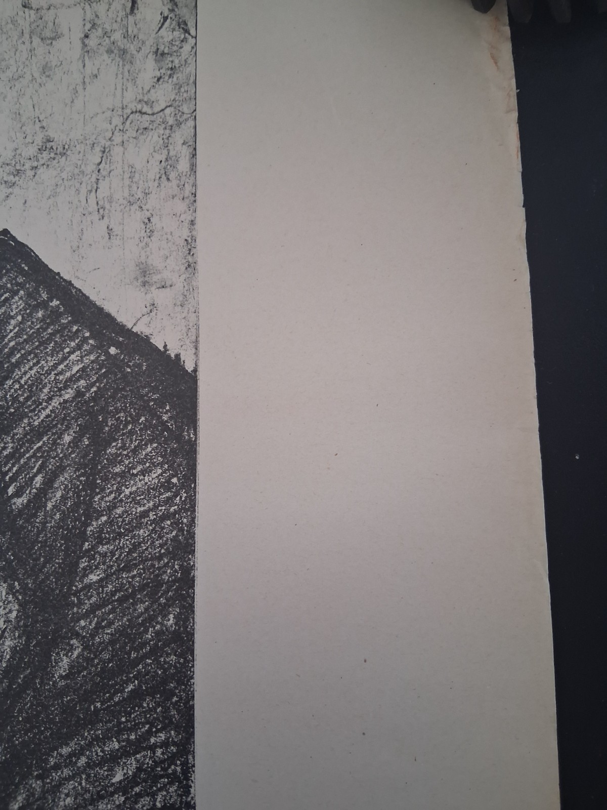 Original WWI America Has Fought Hunger In Belgium Poster US Food Administration