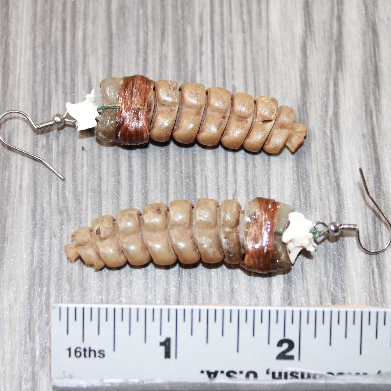 Large Rattlesnake Rattle Earrings #4963 Mountain Man Earrings