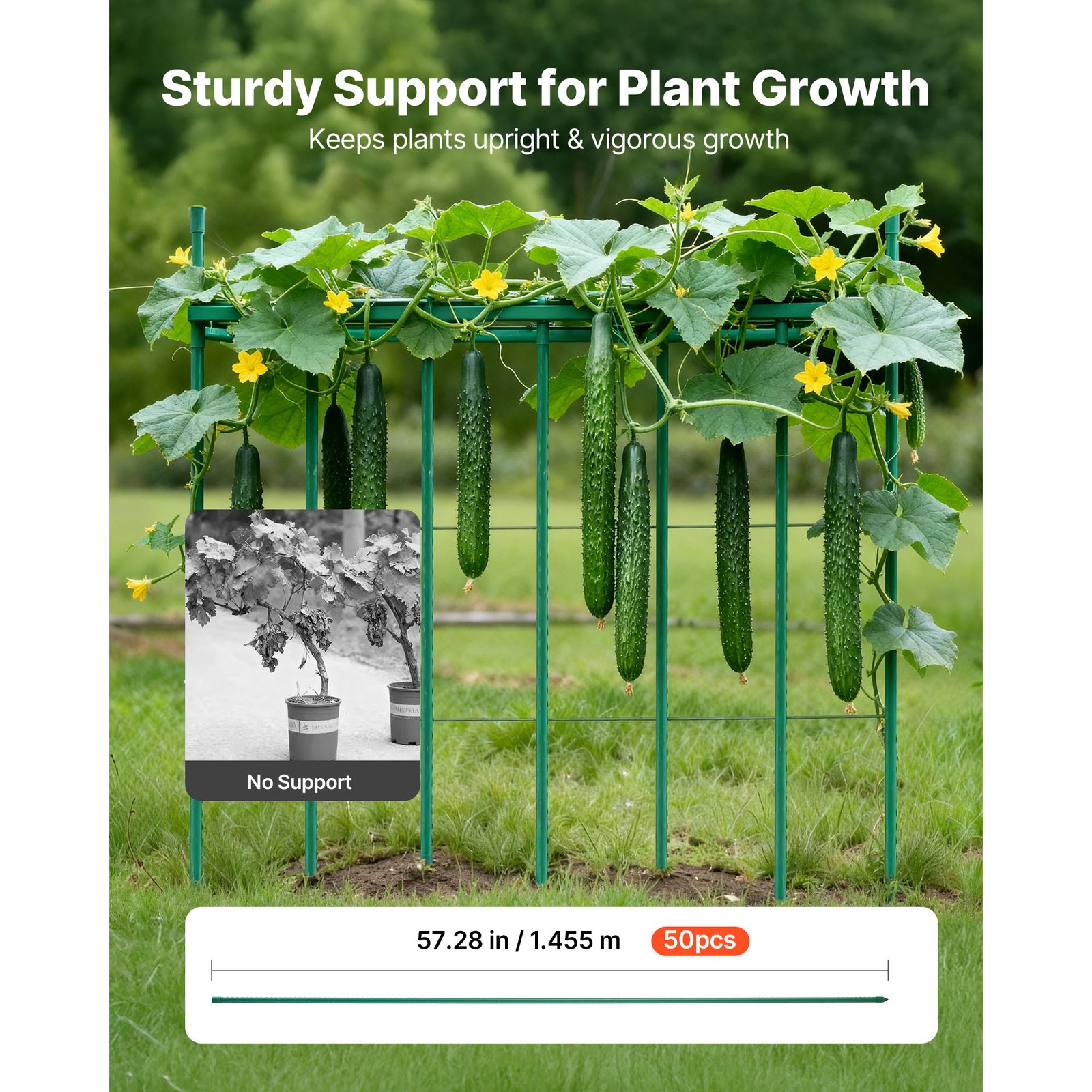 Uimoso Garden Stakes for Tomatoes, 50-Pack,57.28-Inch Metal with Plastic Coating