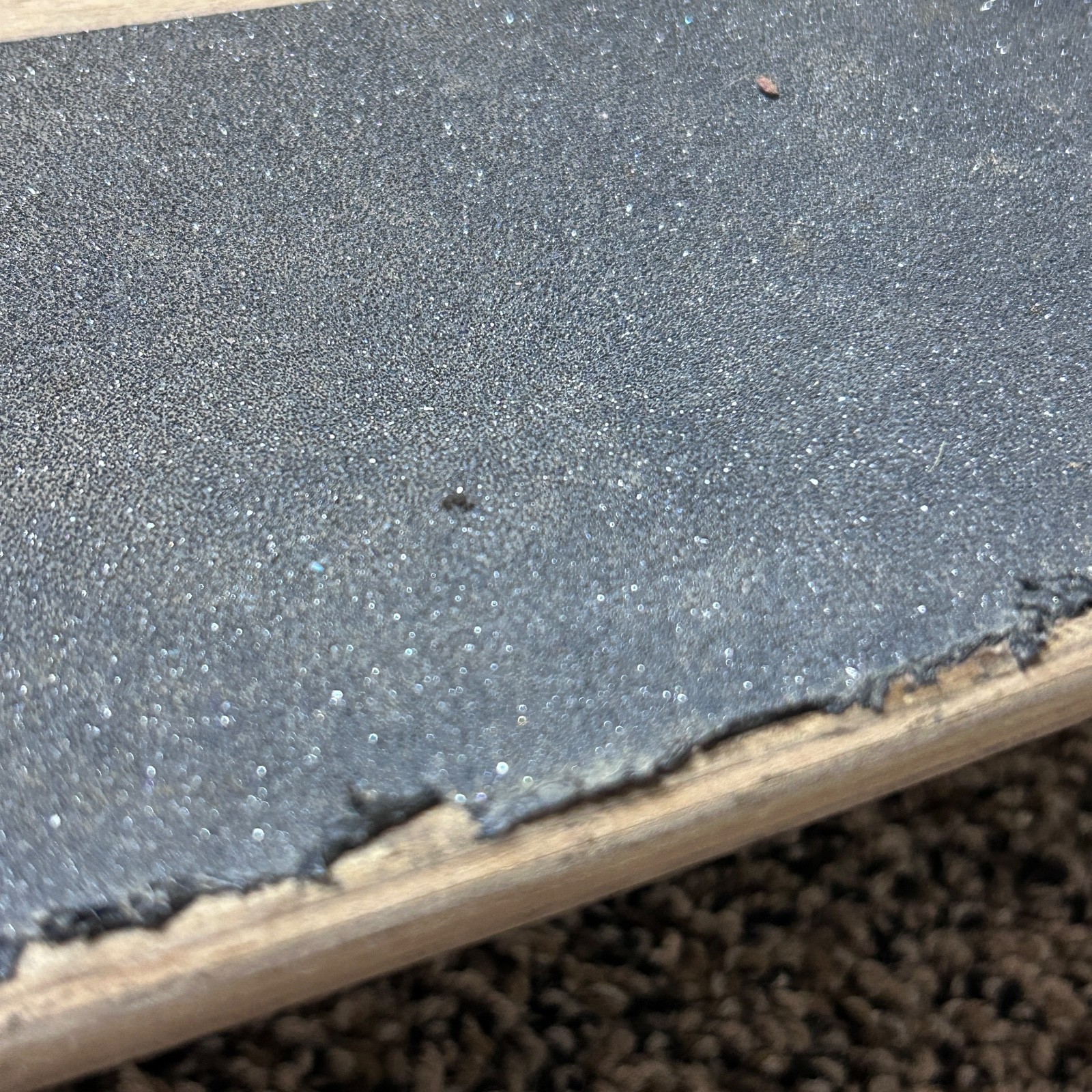 Sector 9 Longboard Skateboard 38” Gullwing Trucks Kota 72mm Wheels