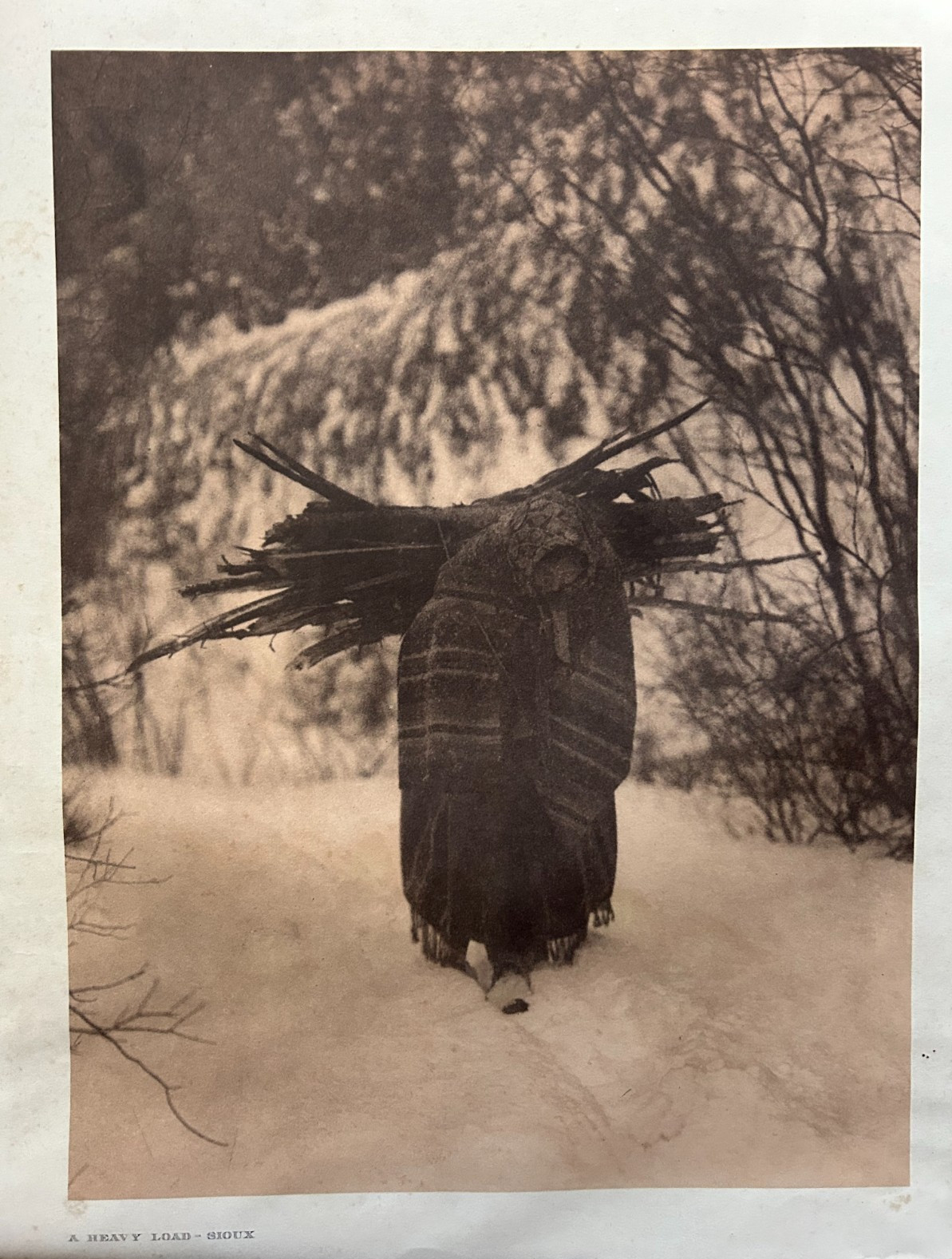 Edward S Curtis - Original Photogravure 14.5 X 18"  A Heavy Load  - Sioux - Rare