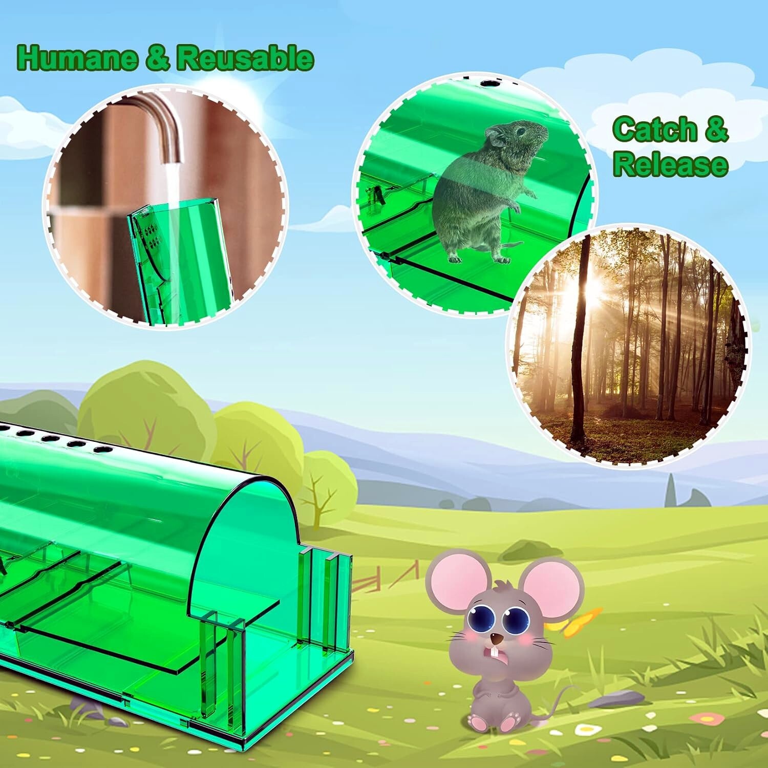 1, 2,4, 6-Humane Mouse Traps Live Catch & Release No Kill Rat Mice Trap Reusable