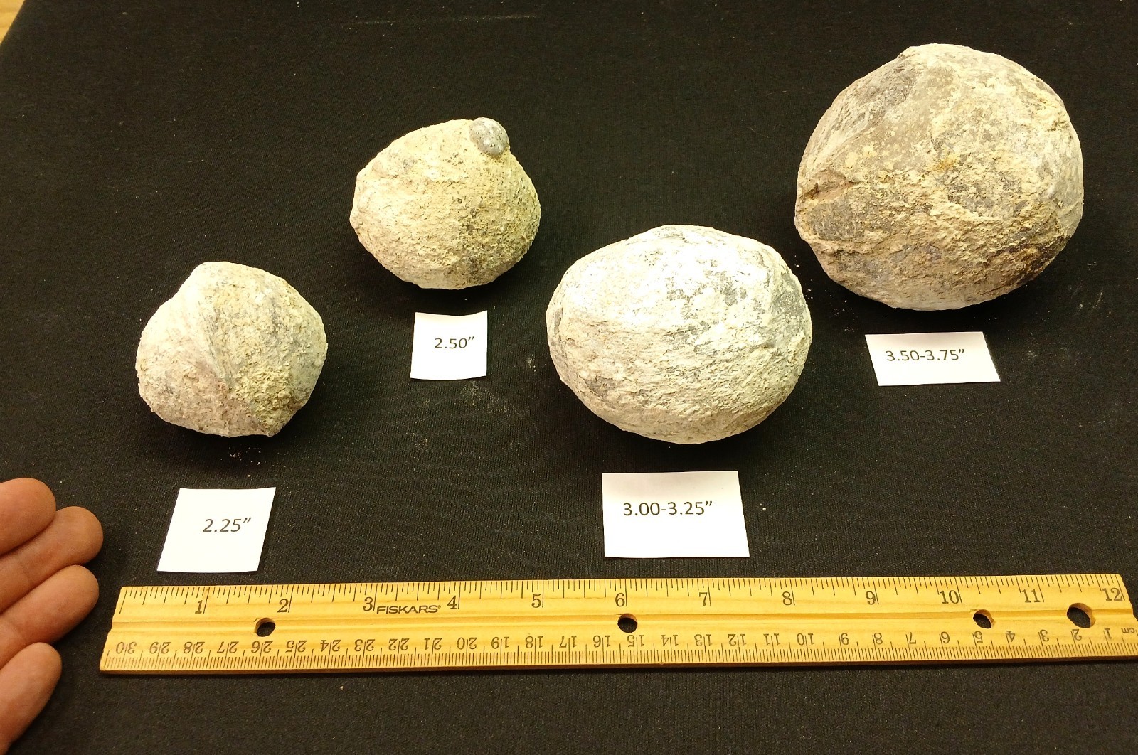 Whole Guaranteed Hollow Utah Dugway Quartz Agate Geode Thundereggs, Fluorescent!