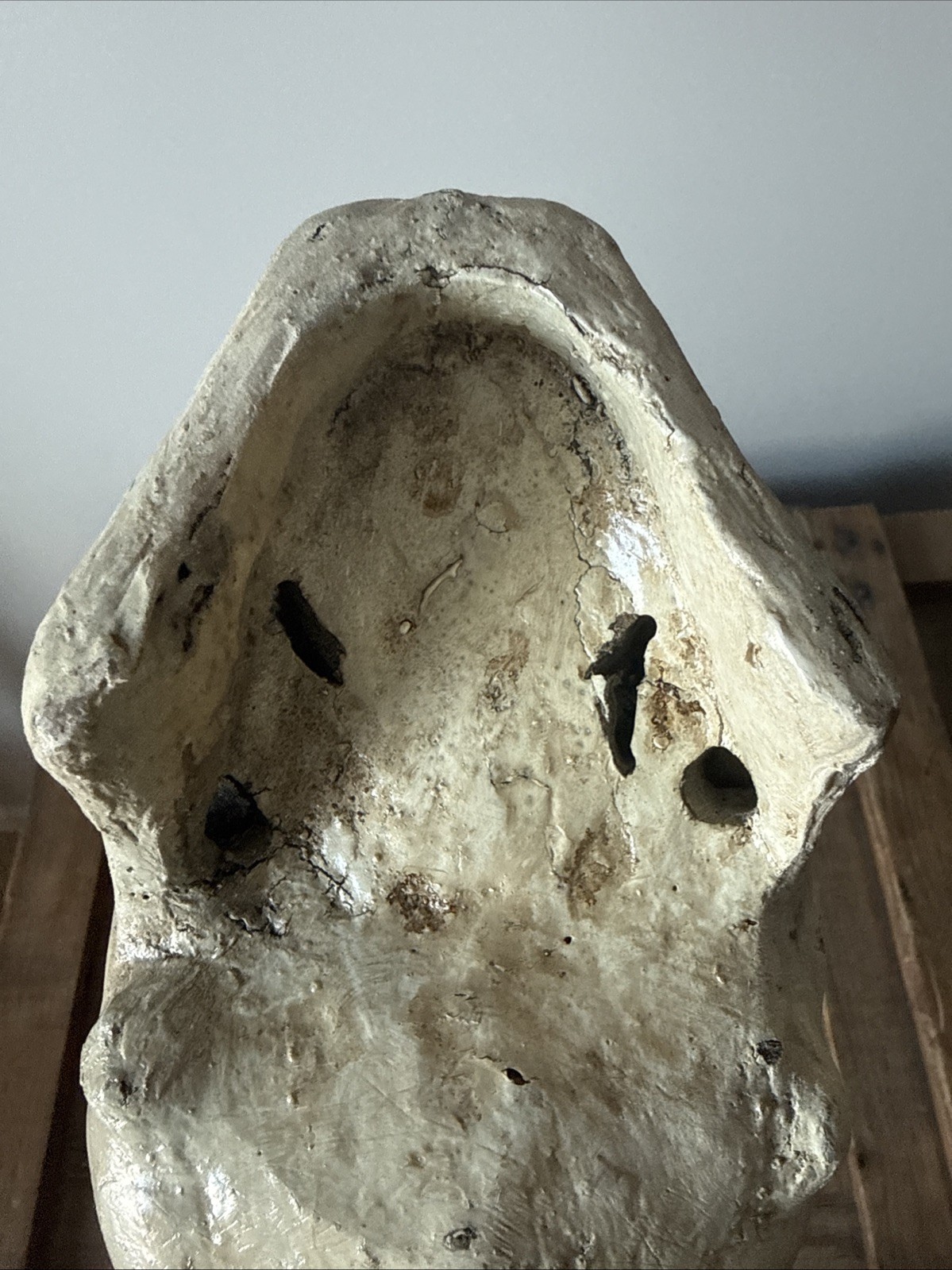 Vintage Fake Life Size Human Skull - skeleton anatomy oddity