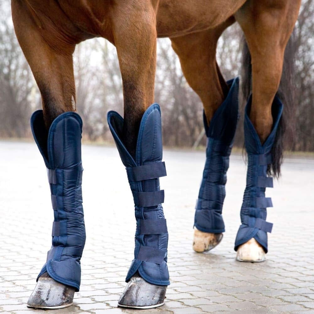 HORZE - Horse Shipping Boots - Color: Peacot Blue - Set Of 4
